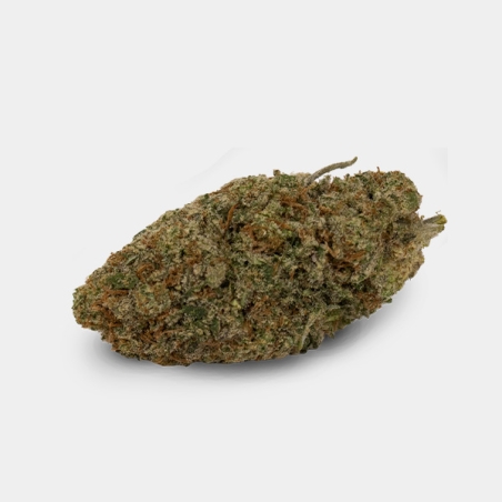 Apple Bananas Cali CBD KEMA 18% Blüten