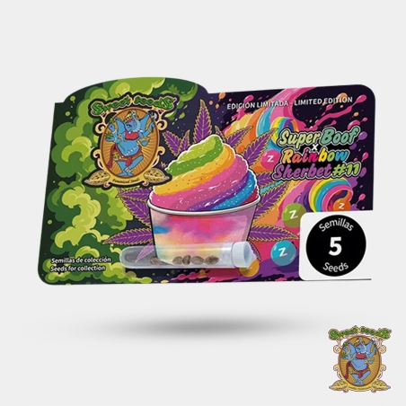 Samenpaket Super Boof x RS11 Sweet Seeds