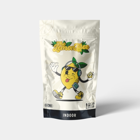 Freeze Kit - GB The Green Brand