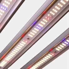 Dimmbares LED-System 300 W Schwarz Ultra GB Lighting, Leuchtbalken