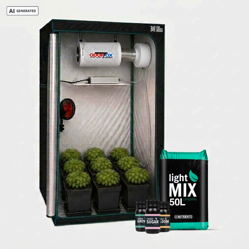 View Komplettset Fortgeschritten 100x100 - GB The Green Brand