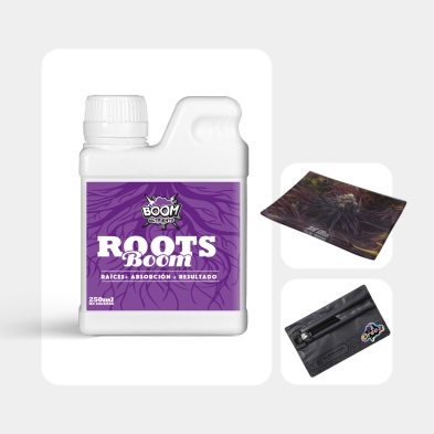 Oreoz-Kit | Das umfassendste Paket für Oreoz-Fans