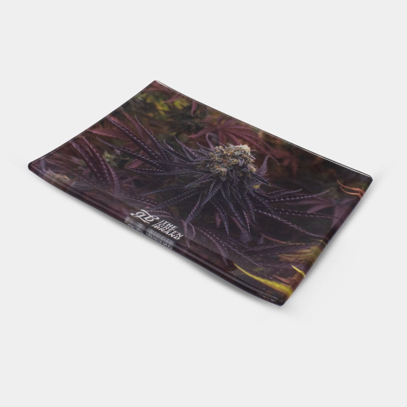 Oreoz-Kit | Das umfassendste Paket für Oreoz-Fans