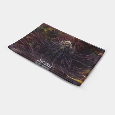 Oreoz-Kit | Das umfassendste Paket für Oreoz-Fans