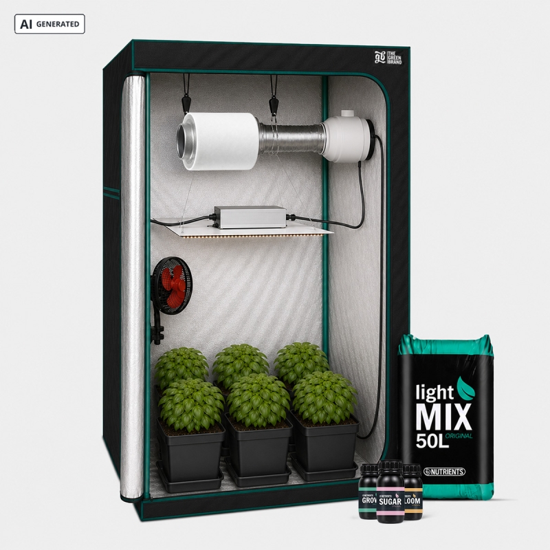 Komplettes Anfänger-Set 80x80 - GB The Green Brand