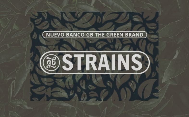 gb strains