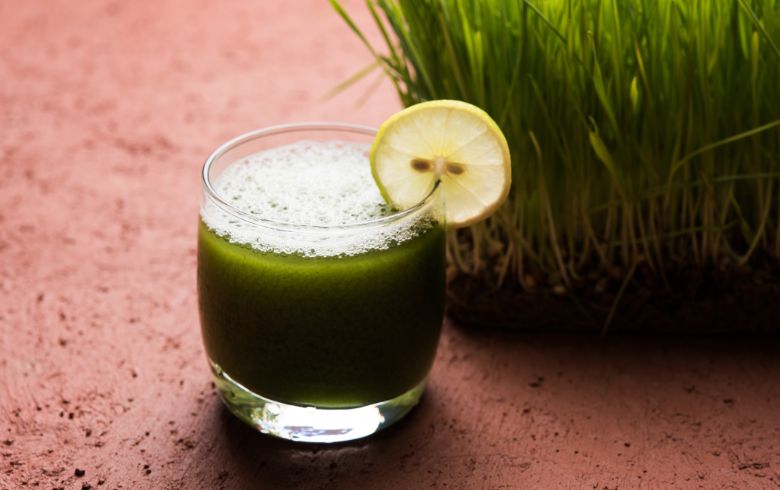 Cannabis-Rezepte Cannabis-Rezepte