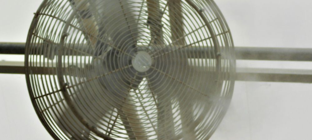 ventilator in einer kulturkammer