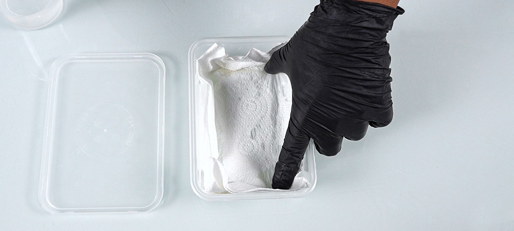 Cómo germinar semillas de marihuana