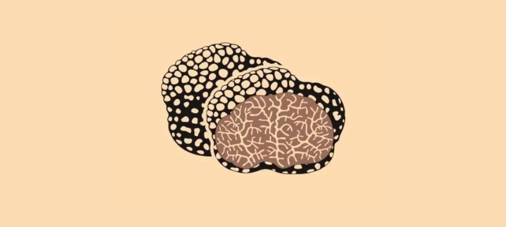 Halluzinogene Trüffel-Dosen