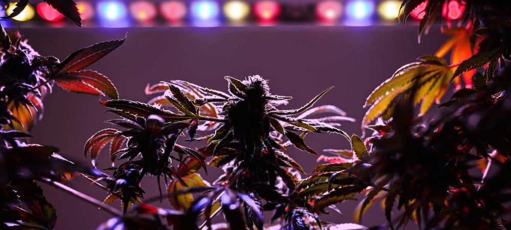 Höhe des Innen Strahlers