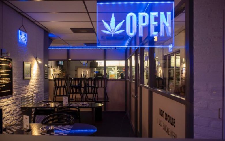 Cannabis-Nachrichten