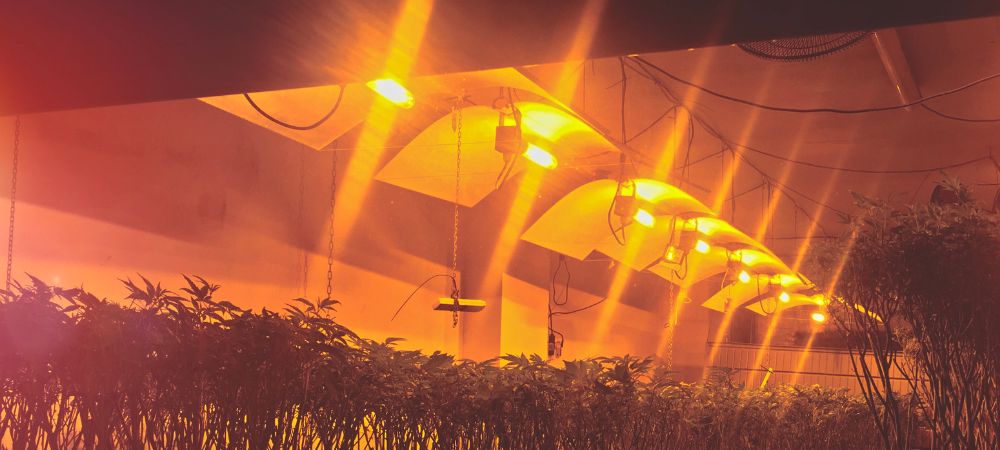 Innenanbau Schritt für Schritt