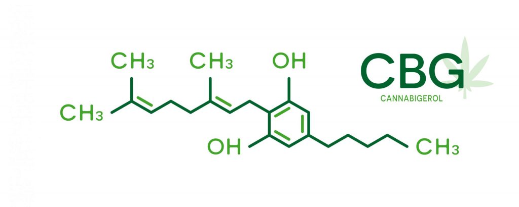 Was ist Cannabigerol (CBG): Ursprung, Eigenschaften und Wirkungen Was ist Cannabigerol (CBG): Ursprung, Eigenschaften und Wirkungen