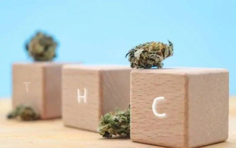 Medizinisches Cannabis Medizinisches Cannabis