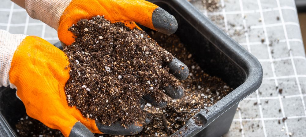 vermiculita y perlita