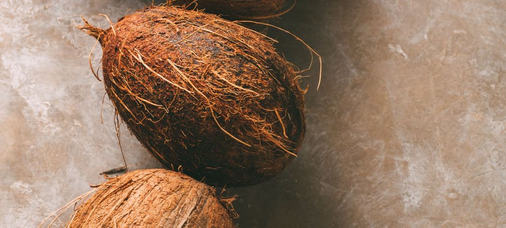 Wie man Kokosfaser mit Erde mischt