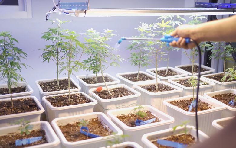 Überflutungsbewässerung