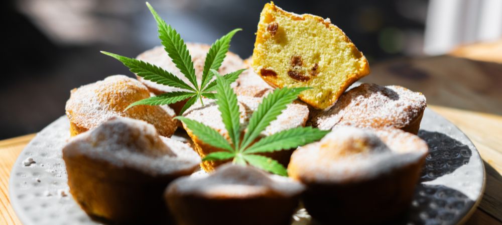 Cannabis-Vereinigung