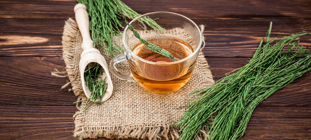 Schachtelhalm-Infusión