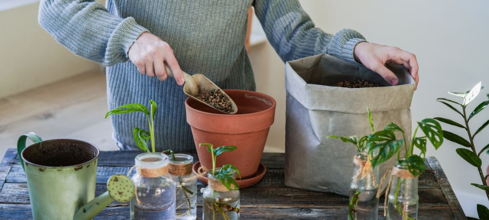 Substrat Fliegen bekämpfen