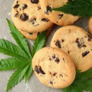cannabis kekse