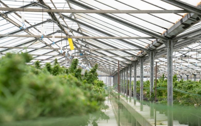 Anbauratgeber Anbauratgeber