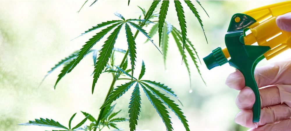 Dünger von General Hydroponics