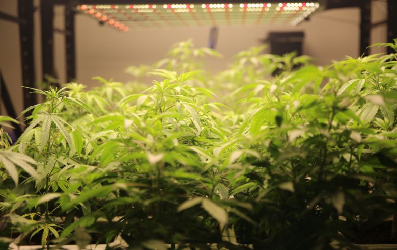 Anbauratgeber Anbauratgeber