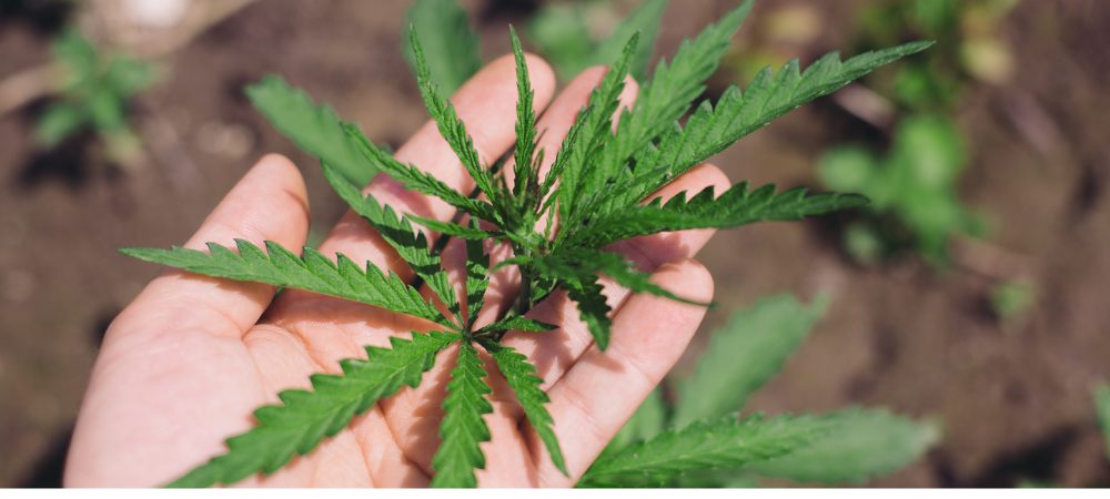 Höhe des Innen Strahlers