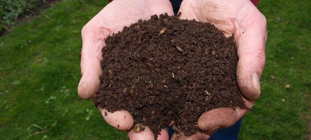 Pflanzsubstrat in den Händen