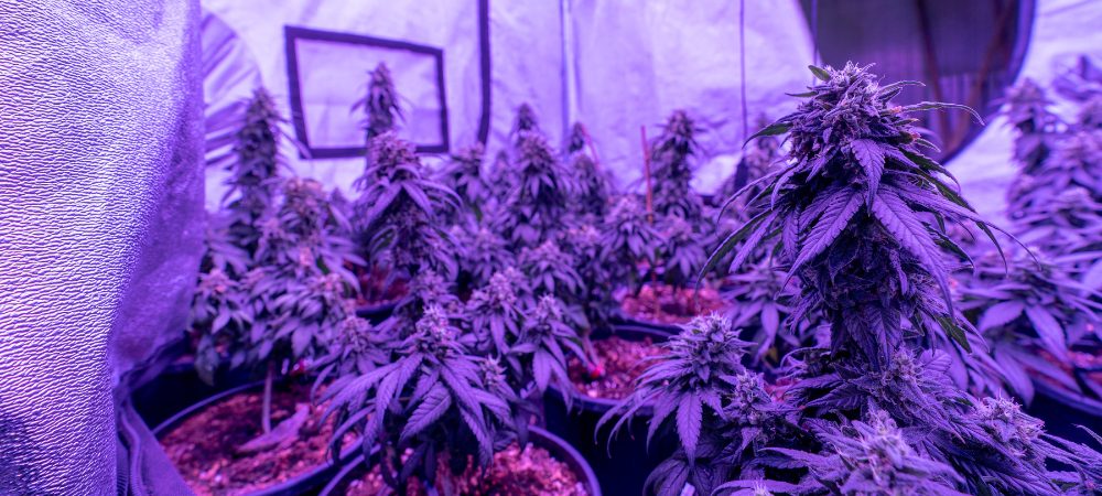 Innenanbau Schritt für Schritt