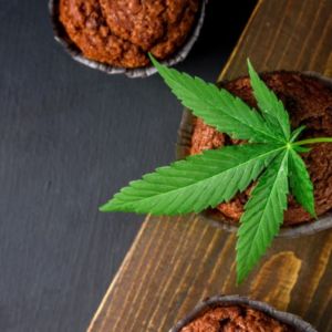 Marihuana-Schokoladen-Muffins