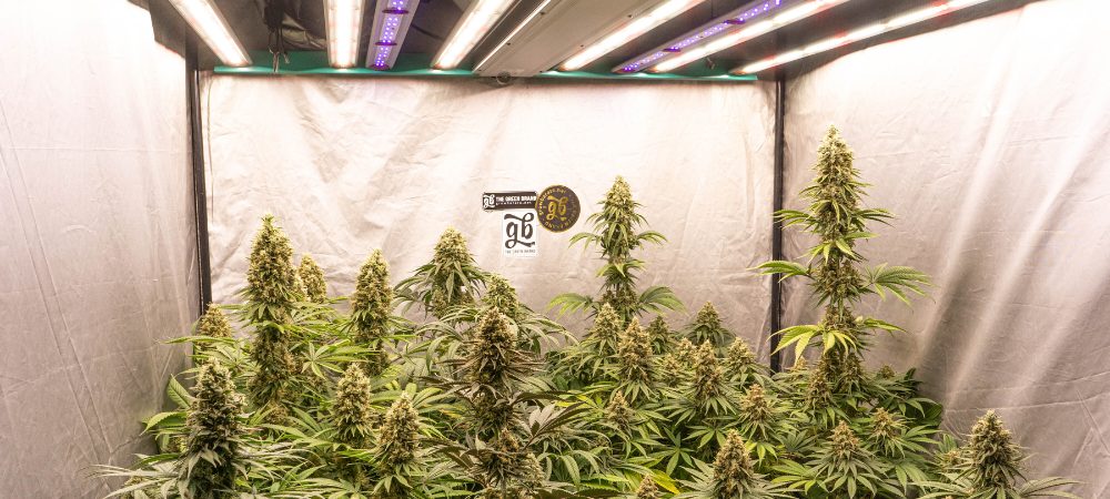 ein anbauzelt aufstellen