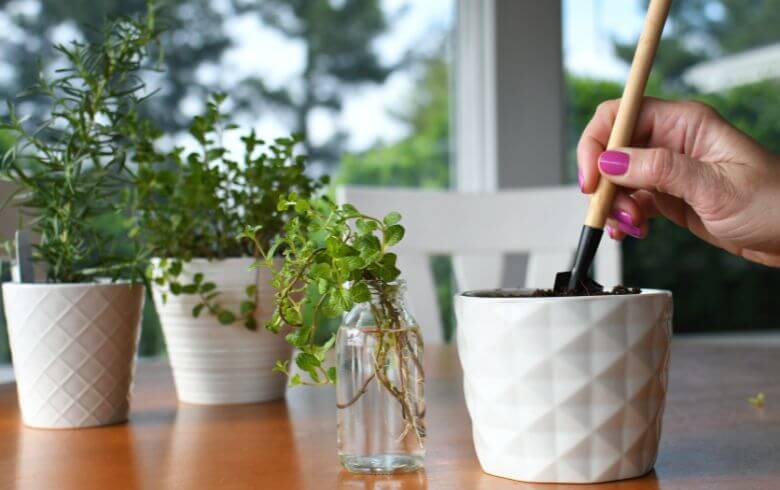 Anbauratgeber Anbauratgeber