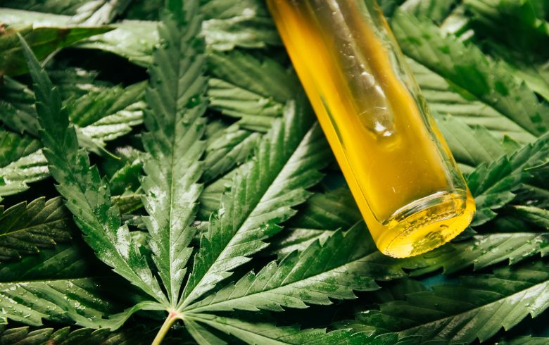 Cannabis-Nachrichten