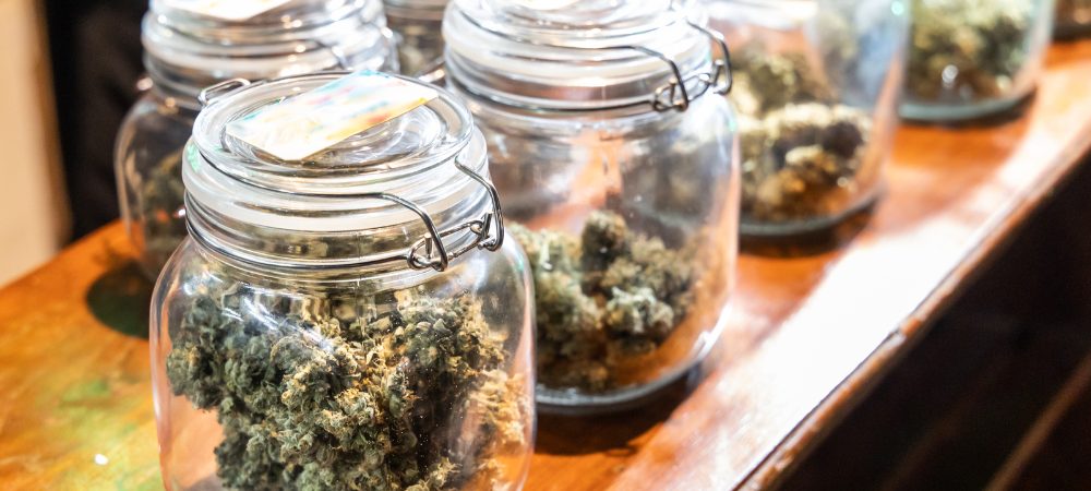 Geruch von Indoor-Pflanzen