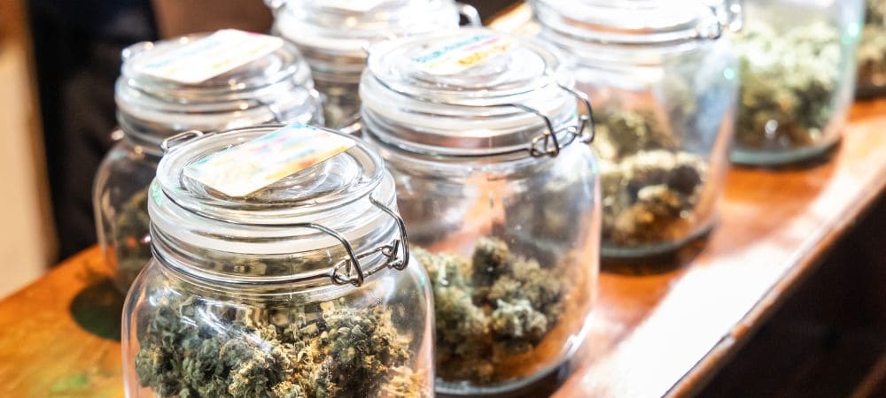 Kalifornisches Marihuana