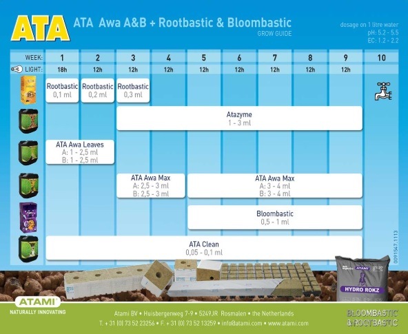 how to use bloombastic