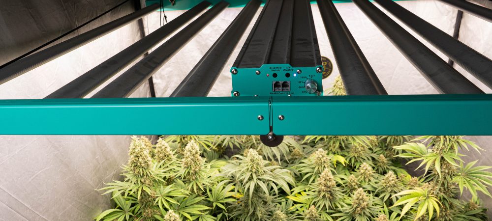 ein anbauzelt aufstellen