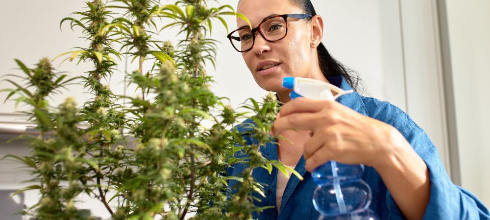 Hausgemachter hydroponischer Dünger