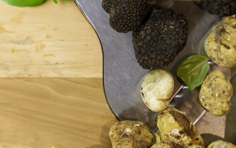 Cannabis-Nachrichten