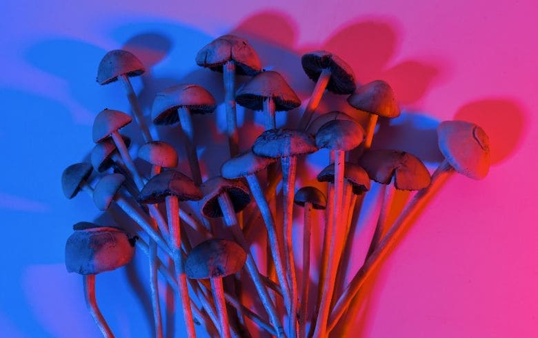 Cannabis-Nachrichten