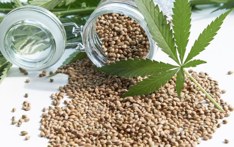 Cannabis-Nachrichten