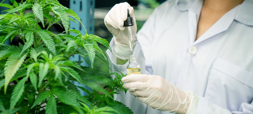 Kaliumseife und Neemöl Mischungsverhältnisse