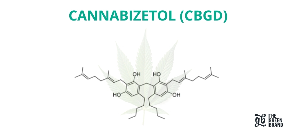 Chemische Struktur von Cannabizetol (CBGD) vor Cannabisblatt-Hintergrund und GB The Green Brand-Logo, Darstellung des neuen Cannabinoids mit antioxidativem und entzündungshemmendem Potenzial.