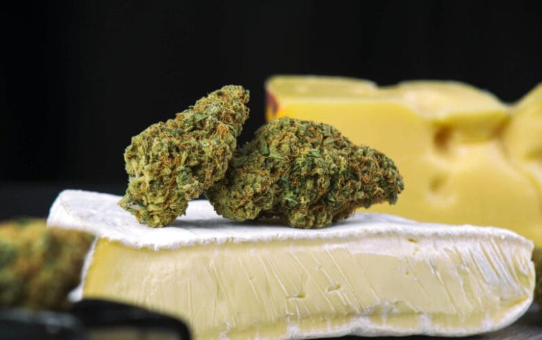 Cannabis-Nachrichten