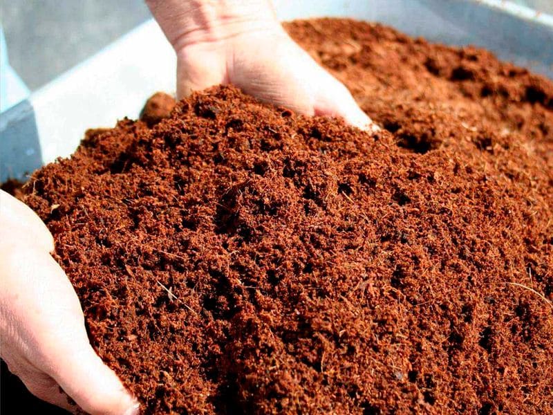 Natürliches Kokosfasersubstrat für den Cannabis Anbau Indoor, braune Farbe, fördert die Drainage