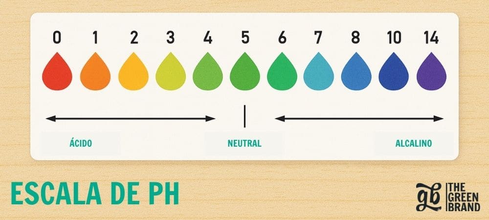 pH-Skala von 0 bis 14 mit Farbcodes für saure, neutrale und alkalische Werte als Referenz im Cannabisanbau