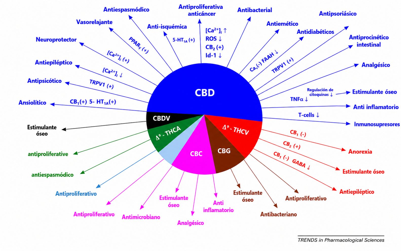 Medizinisches Cannabis Medizinisches Cannabis